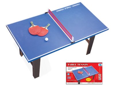 PING-PONG TABLE - HP1001759