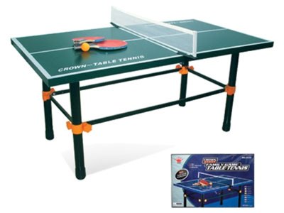 PING-PONG TABLE - HP1001761