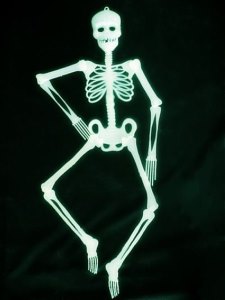 MIDDLE LUMINESSCENT BONE - HP1007197