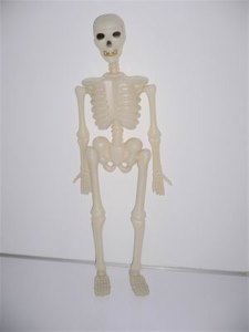SOLID SKELETON  - HP1007270