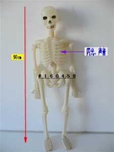 ACOUSTO-OPTIC SOLID SKELETON  - HP1007271