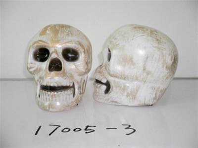 SEVEN COLORS SKELETON HEADCOUNT - HP1007309