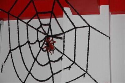2M SPIDER WEB - HP1007475