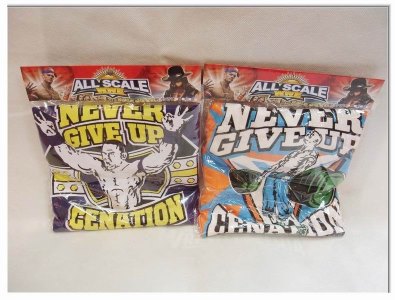 WRESTLE CLOTHES - HP1020041