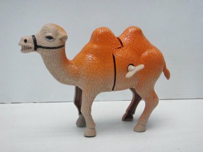 WIND UP CAMEL 2COLOR - HP1023535
