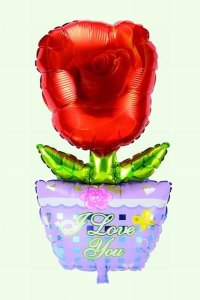 ROSE POTTING BALLON 50PCS  - HP1028709