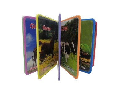 LEARNING BOOK - HP1031160