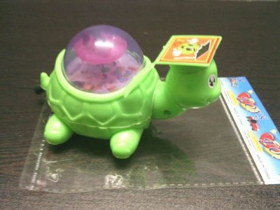 PULL LINE TORTOISE W/LIGHT 2COLOR - HP1034710
