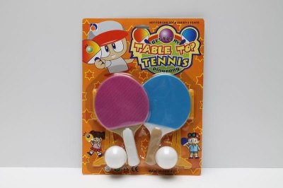 SPORT & PLAY TOYS - HP1038522