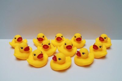 VINYL DUCKS 12PCS  - HP1043279