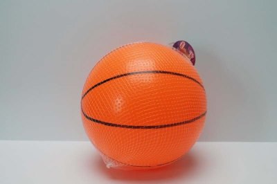 22CM BASKETBALL  - HP1047274