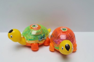 PULL LINE TORTOISE W/LIGHT - HP1048456