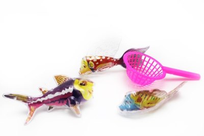 FISHING GAME - HP1051188