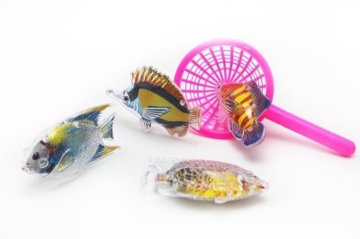 FISHING GAME - HP1051189
