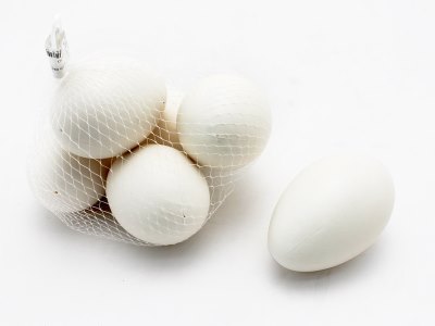 GOOSE EGG - HP1055779