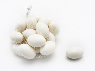 BIRD EGG - HP1055784