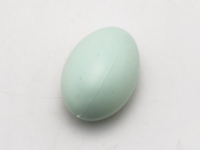 DUCK EGG - HP1055786