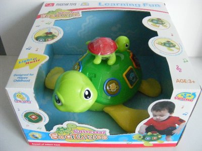 B/O TORTOISE W/LIGHT&MUSIC - HP1056264