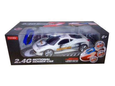 1:16 HAND CONTROL R/C CAR(2.4G) - HP1059206