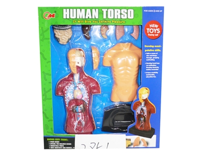DOCTOR SET - HP1069362