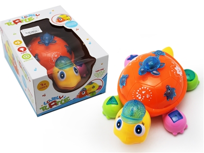 B/O TURTLE - HP1070465