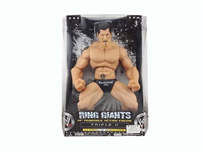 WRESTLER SET - HP1075832