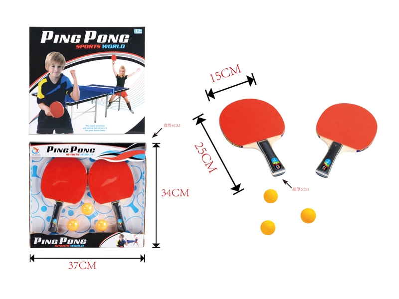 TABLE TENNIS BATS SET - HP1091284