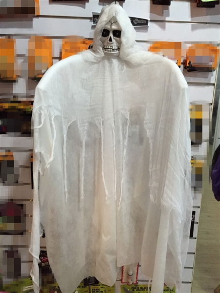 ROTATE THE HANGING GHOST - HP1097222