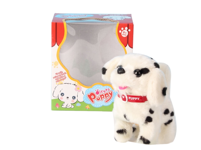 ELECTRIC PUPPY - HP1102163