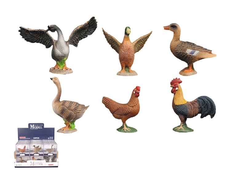 ANIMAL SET - HP1113897