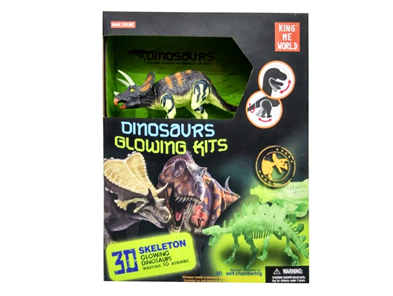 DINOSAURE SET - HP1129017