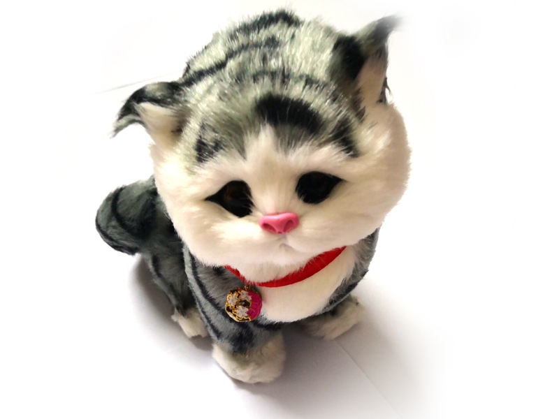 BAMBOO CHARCOAL CAT - HP1140038