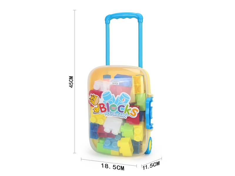 BUILDING BLOCKS（30PCS） - HP1143760