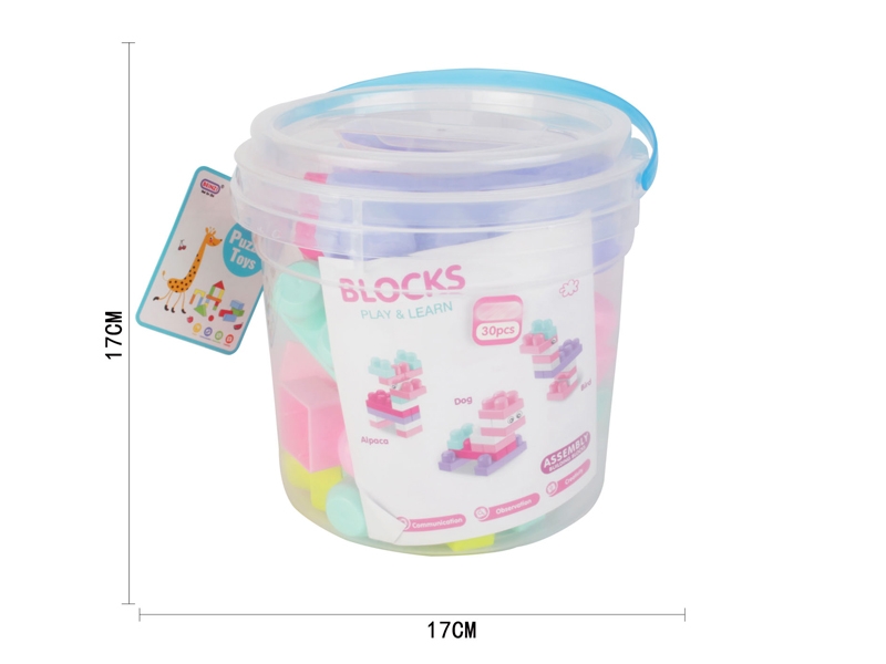 BUILDING BLOCKS（30PCS） - HP1143792