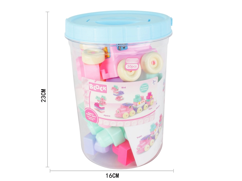 BUILDING BLOCKS（30PCS） - HP1143794