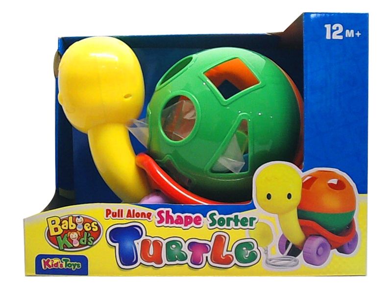 PULL & PUSH TURTLE - HP1147780