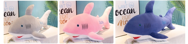 80CM SHARK 900G - HP1150028