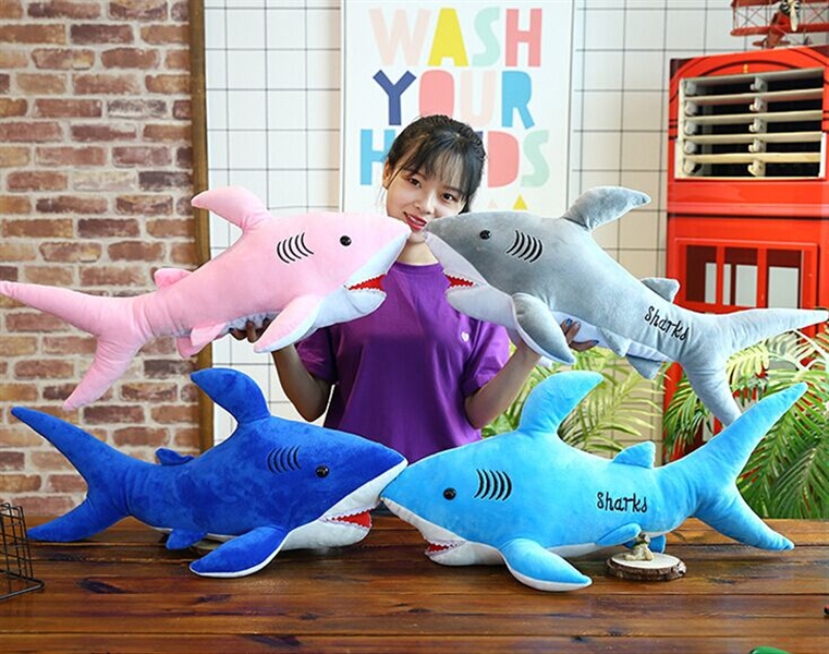 80CM SHARK 500G - HP1150417