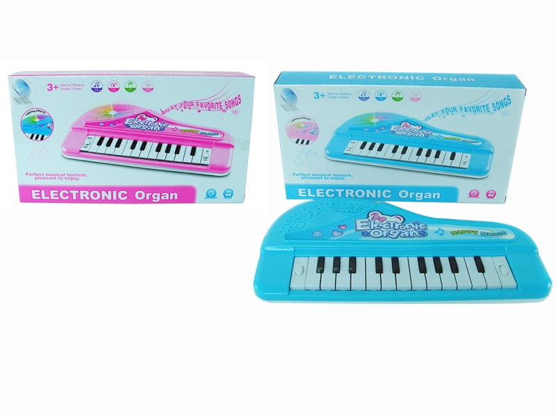 ELECTRONIC ORGAN 22 KEYS W/LIGHT - HP1162566