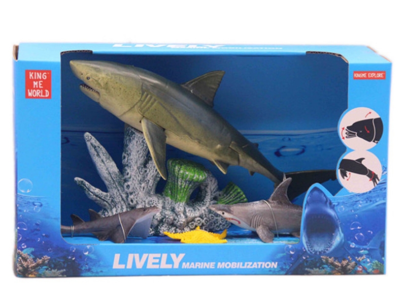 OCEAN SET - HP1163477