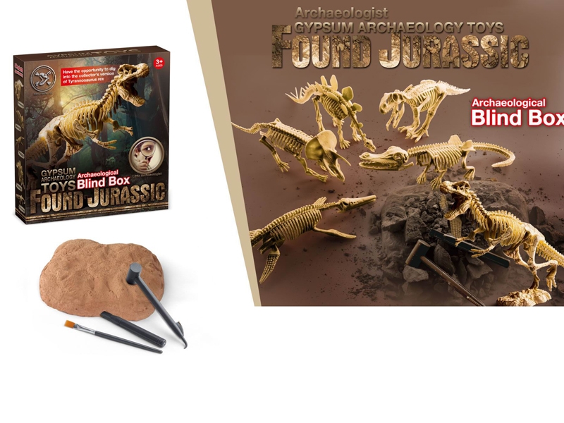 GYPSUM ARCHAEOLOGY TOYS - HP1163684