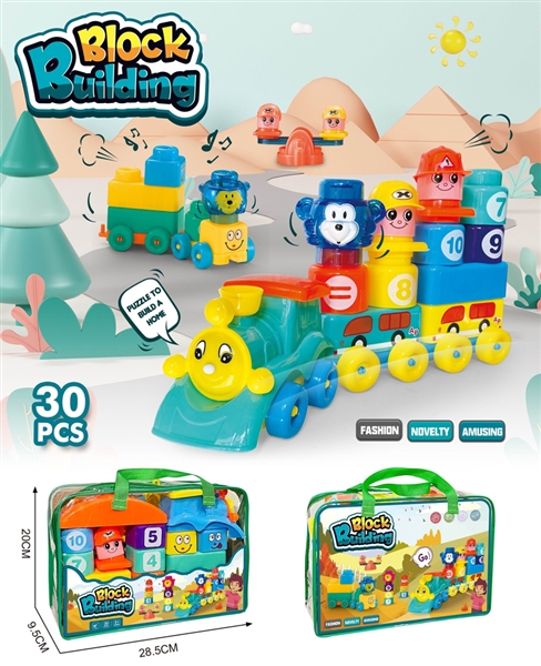 BLOCKS 30PCS - HP1164271