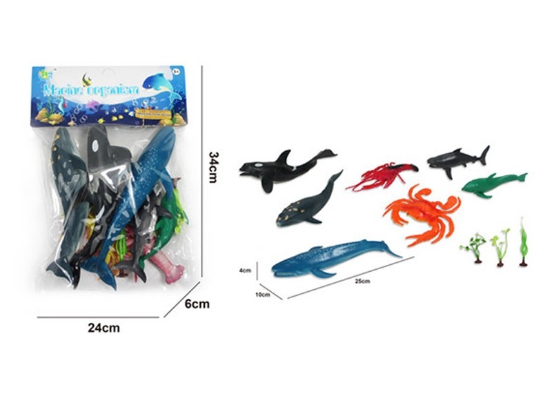 OCEAN SET - HP1172435
