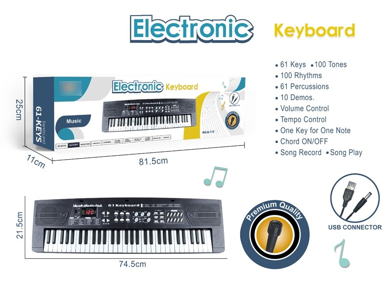 61 KEYS ELECTRONIC ORGAN W/MICROPHONE & DISPLAY & USB - HP1172917