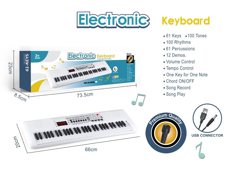 61 KEYS ELECTRONIC ORGAN W/MICROPHONE & DISPLAY & USB - HP1172926