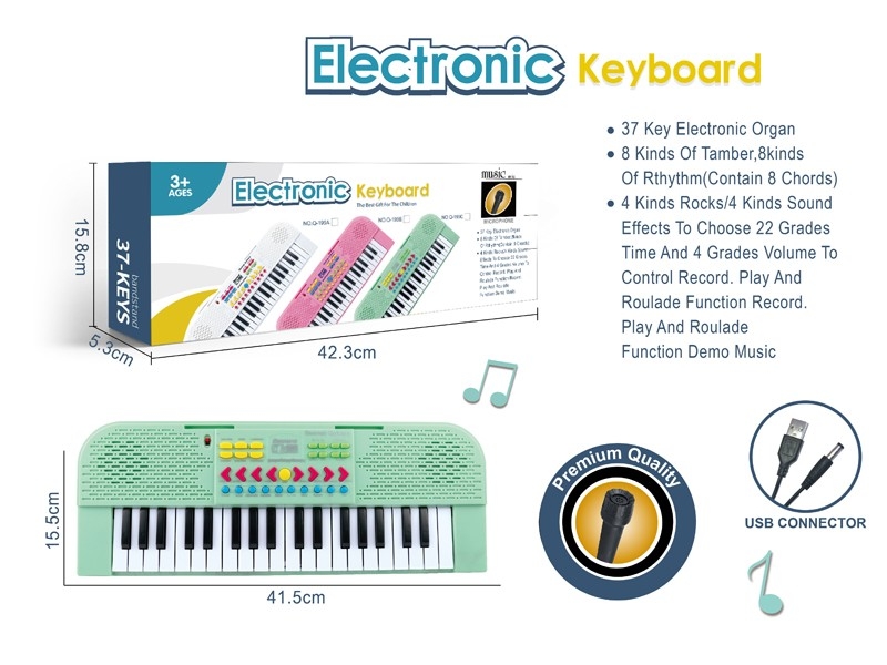 37 KEYS ELECTRONIC ORGAN W/MICROPHONE & USB - HP1172930