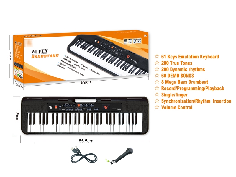 61 KEYS ELECTRONIC ORGAN W/MICROPHONE - HP1174600