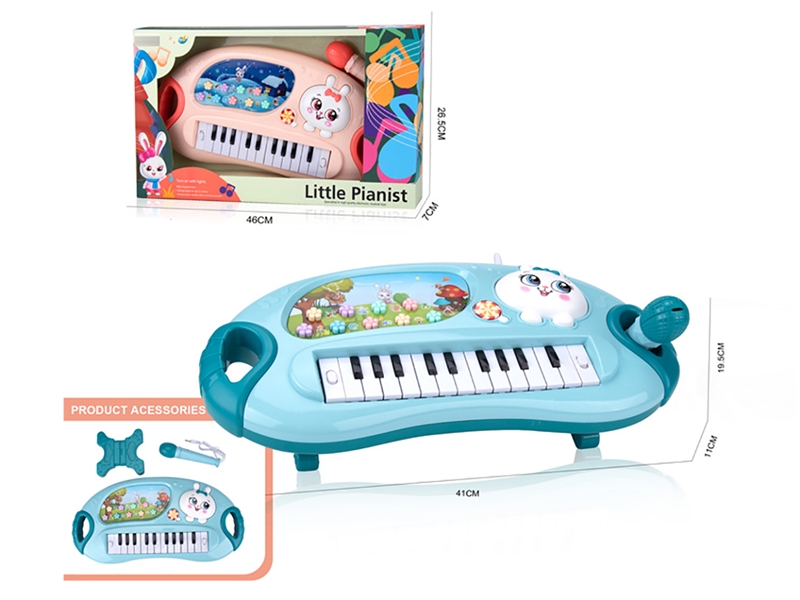 ELECTRONIC ORGAN W/MICROPHONE - HP1194079
