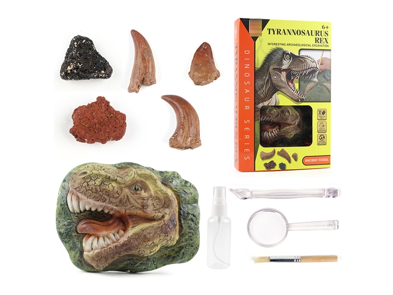 DINOSAUR EXCAVATION SET - HP1195754