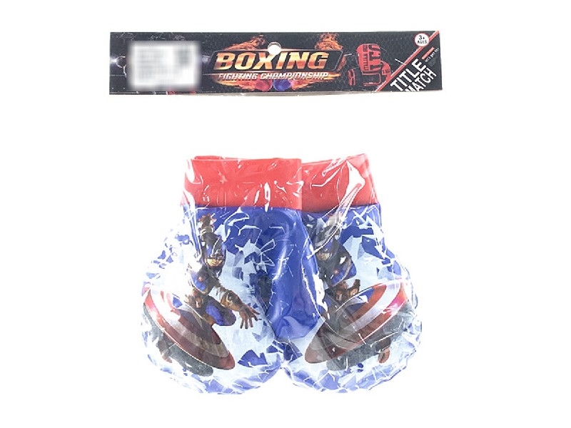 BOXING SET - HP1204289